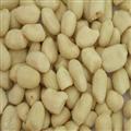 Blanched Peanut Kernel kernel;inshell;roasted;blanched;spices;garlic;ginler;hotpepper; Qingdao Xinlufeng Peanuts Product Co., Ltd.