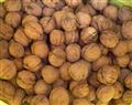 Walnut kernel;inshell;roasted;blanched;spices;garlic;ginler;hotpepper; Qingdao Xinlufeng Peanuts Product Co., Ltd.